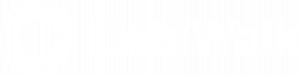 DataWalk Logo