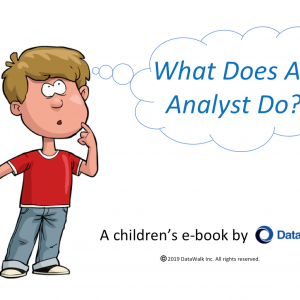 Whats does an analyst do