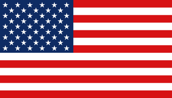 flaga US