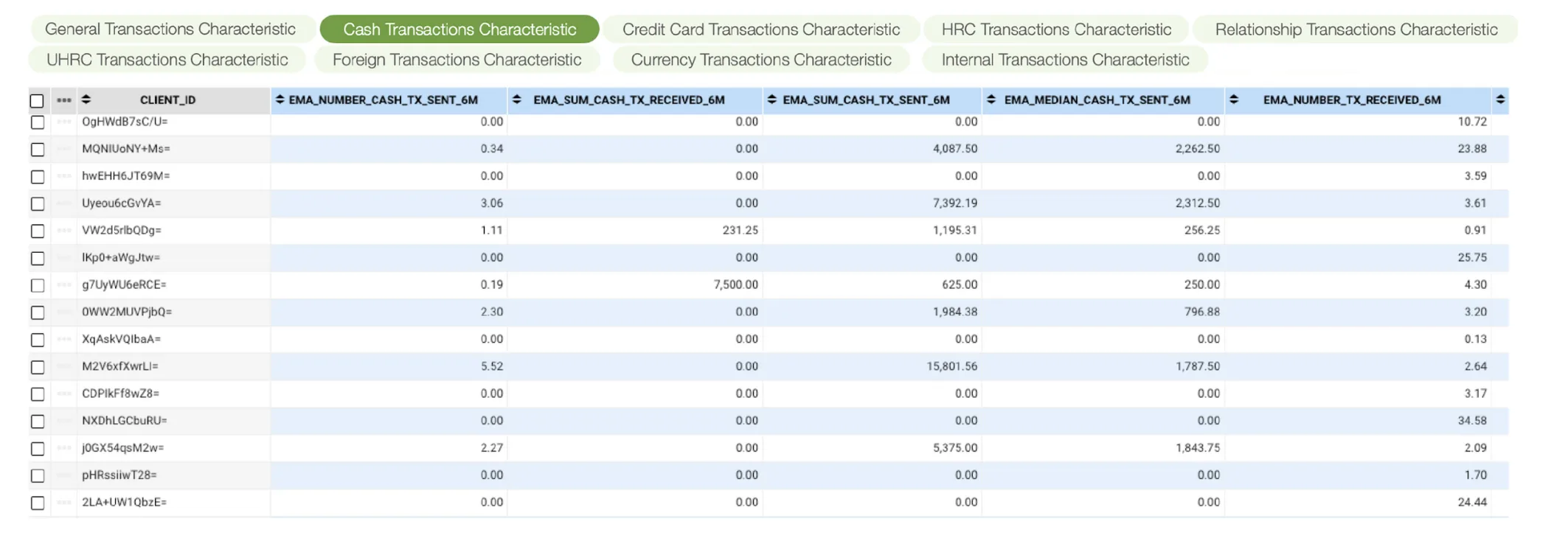 Figure 3. A table presenting customers’ features with their values organized around characteristics