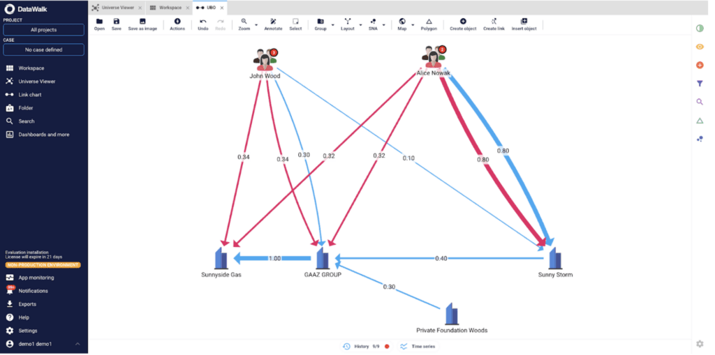 Figure 1 – An example of an inference for shareholders' network.